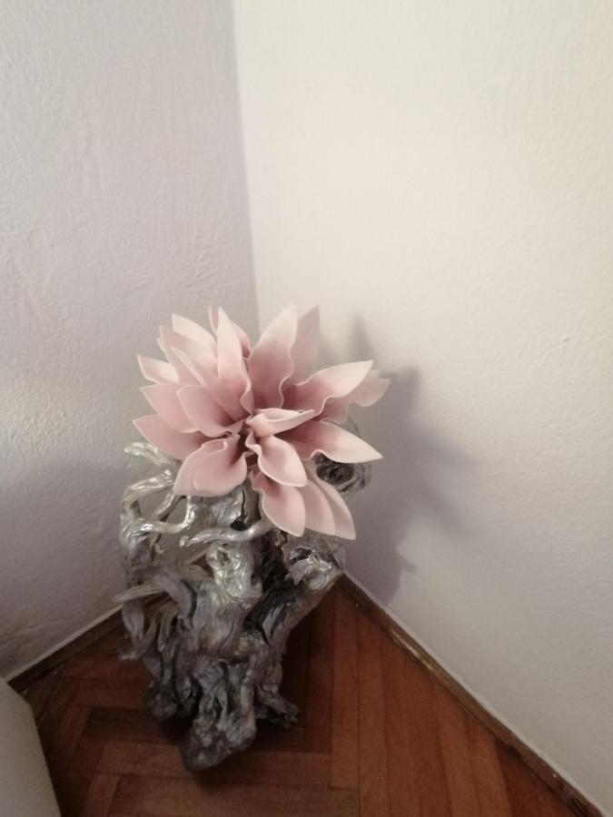 Apartmani Niki Hvar フヴァル エクステリア 写真