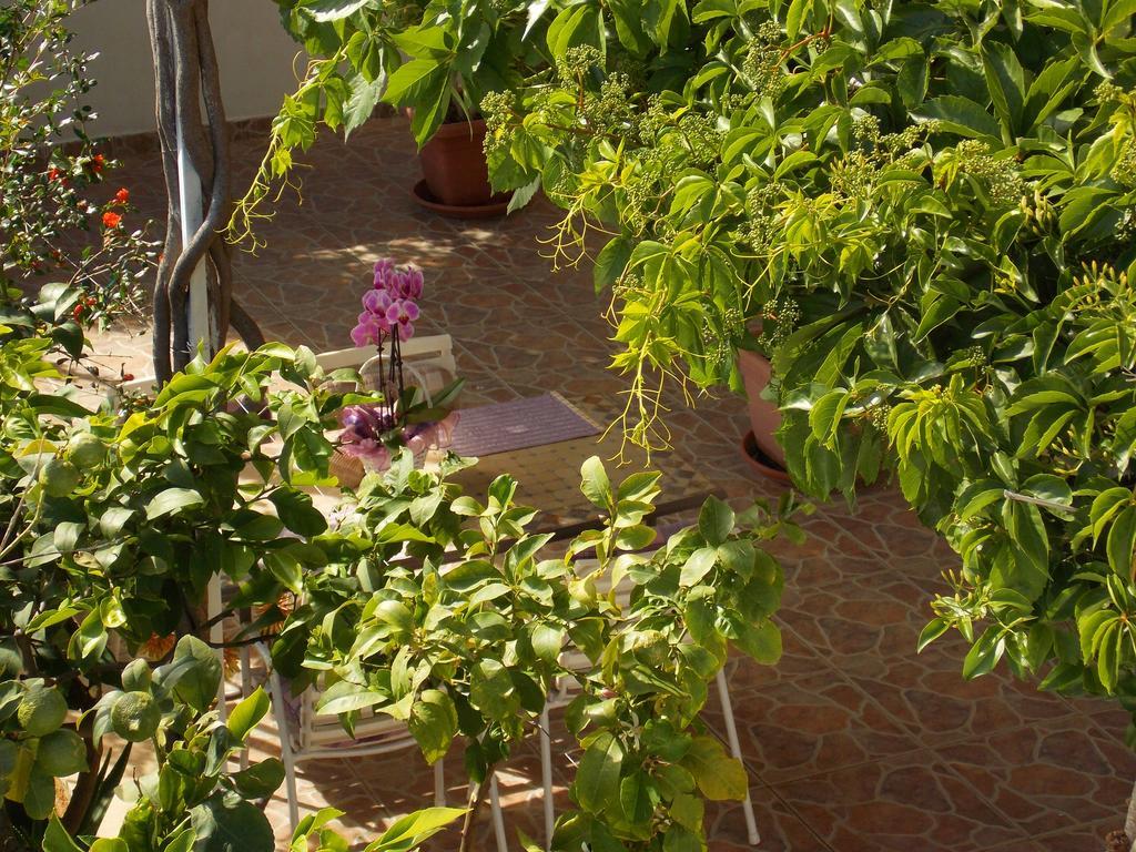 Apartmani Niki Hvar フヴァル エクステリア 写真